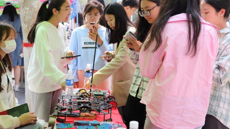 软件测试与开发：两种不同视角下的IT旅程